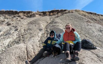 Bringing dinosaurs to life in Rapid City